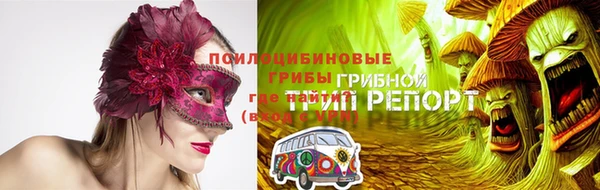 гидропоника Алзамай