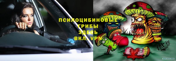 гидропоника Алзамай