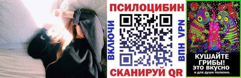 где можно купить наркотик  Биробиджан  Псилоцибиновые грибы прущие грибы 
