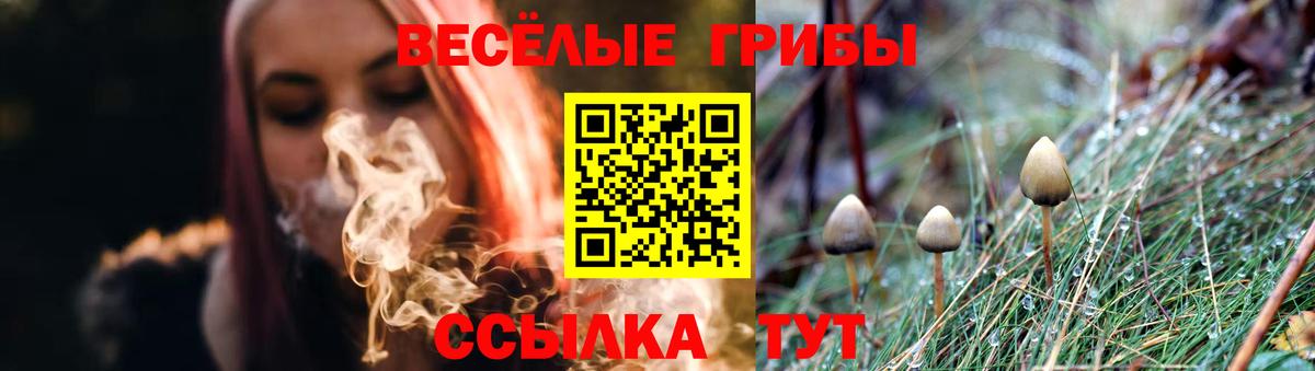 Псилоцибиновые грибы MAGIC MUSHROOMS  Вход с VPN  Галлюциногенные грибы мухоморы  Биробиджан 